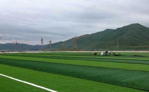 <b>门球场场地人造草坪</b>